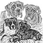 Boxer Dogs Puppies - Custom Pencil Portrait