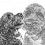 Terrier Dog Portrait Drawing - Custom Pencil Portrait