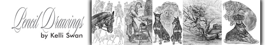 Kelli Swan Pencil Drawings header