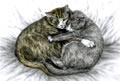 "Cuddly Cats" cat drawing by Kelli Swan