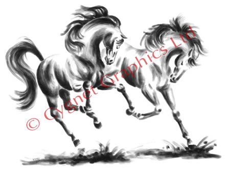 "Frolicking" wild horse drawing by Kelli Swan