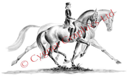 "Trot On" dressage horse drawing by Kelli Swan