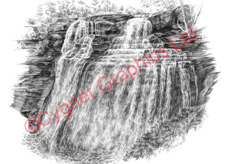 Brandwine Falls pencil drawing by Kelli Swan