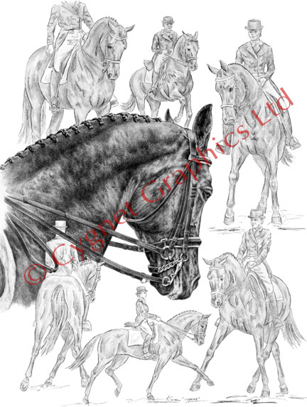 Dressage horse montage drawing by Kelli Swan