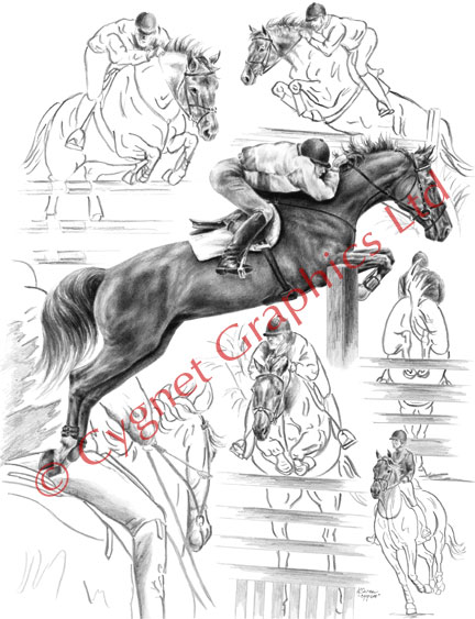 Jumper horse montage - pencil drawing by Kelli Swan