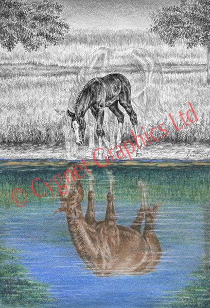 Mare foal water reflection - pencil drawing by Kelli Swan