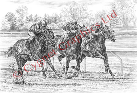 Horse race Neck and Neck - pencil drawing by Kelli Swan