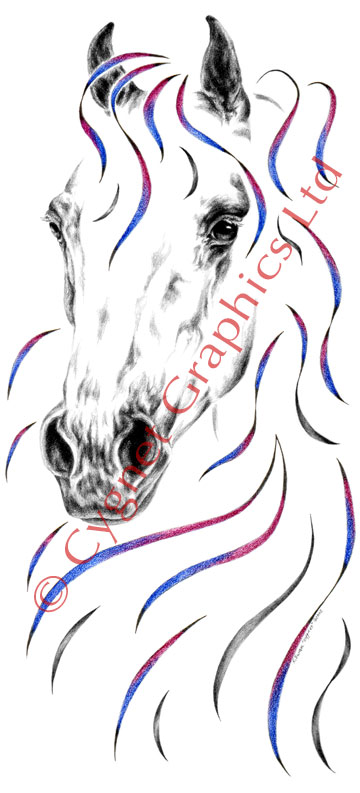 Arabian horse art - pencil drawing by Kelli Swan