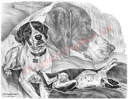 English pointer dogs - pencil drawing by Kelli Swan