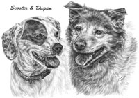 two dogs w/Chow mix drawing portrait