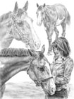 pencil portrait of horse and woman