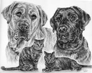 labrador dogs and cats portrait
