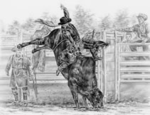 bull rider portrait
