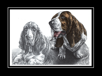 Tinted Basset Hound Print
