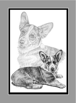 corgi dog print black white