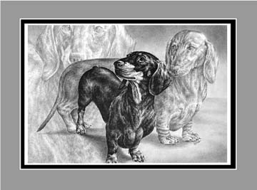 Dachshund Dog Art BW