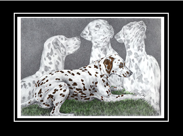 Tinted Dalmatian Print