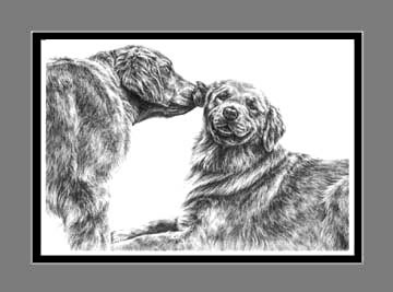 Golden Retriever Dog Art BW