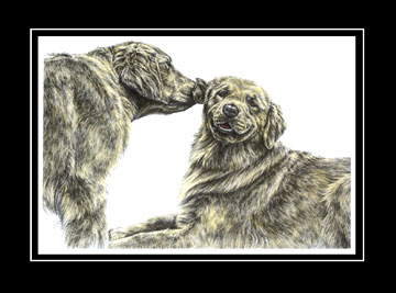Tinted Golden Retriever Print