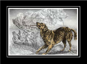 Tinted Golden Retriever Print