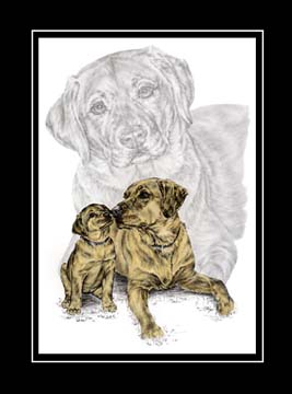 labrador retriever puppy print