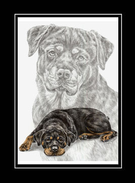 Dog+pictures+to+print+and+colour