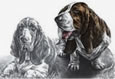 basset hound dog art