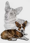corgi dog art