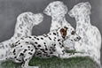 dalmatian dog art