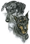 doberman friends print