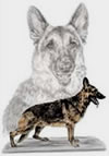 german shepherd art