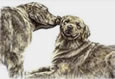 golden retriever drawing