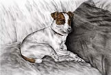 jack russell terrier art