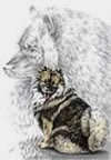 keeshond dog art
