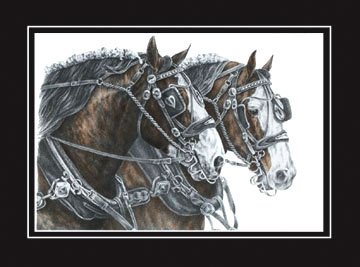 Tinted Clydesdale Draft Horse Print