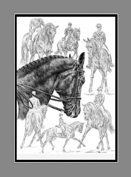 Dressage Horse Print BW