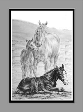 Mare and Foal Horse Print BW