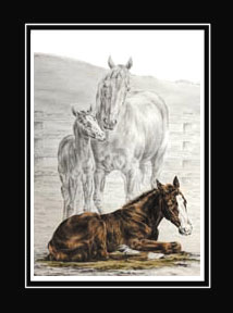 Tinted Mare and Foal Horse Print