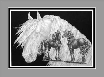 Friesian Horse Picture