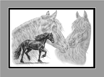 Friesian Horse Feathers Print