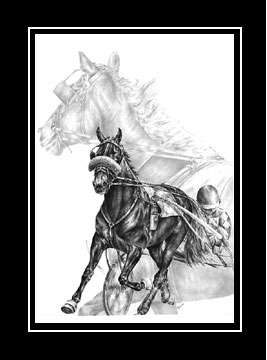 harness racing print black white