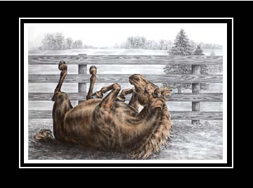 Tinted Rolling Horse Portrait