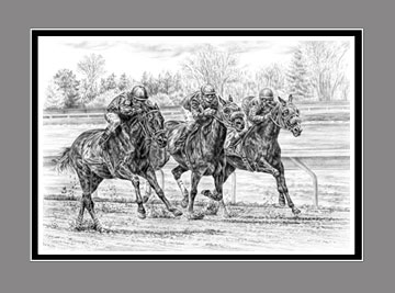 thoroughbred horse neck and neck black white