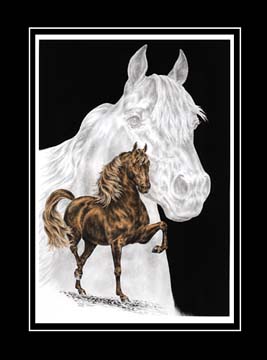 Tinted Morgan Horse Print