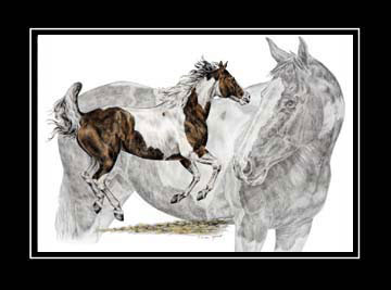 Tinted Paint Horse Portrait