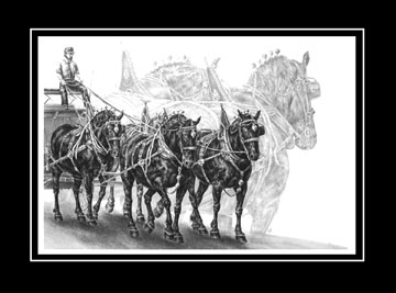 percheron draft horse print