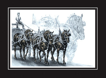 percheron horses print