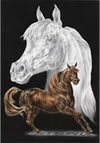 arabian horse art