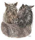 chincoteague pony drawing
