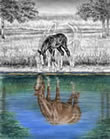 horse reflection drawing